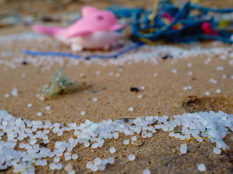 Plastic pollution on a beach