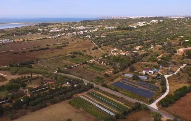 Bird's eye view of Quinto Vale da Lama