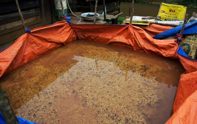 Coffee fermentation tank in Vietnam