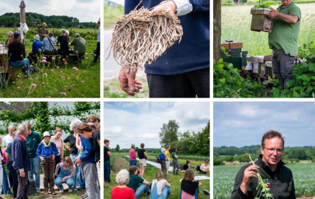 Rooting Deeper Festival