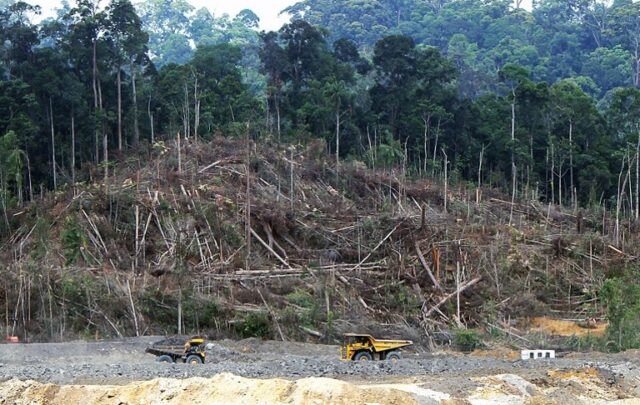 Deforestation in Borneo