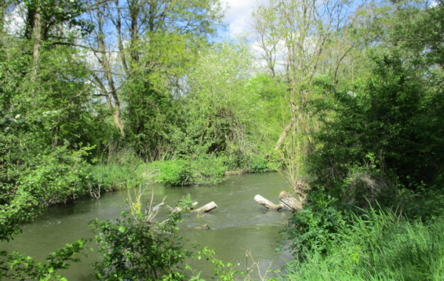 River Kennet