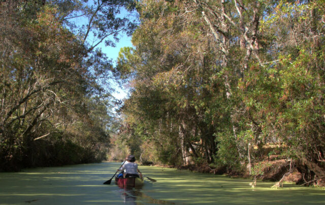 Okefenokee Canoeists