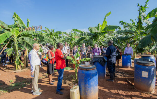 School in Uganda