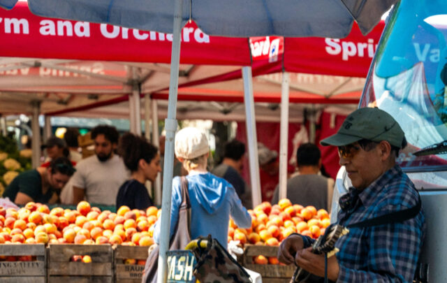 Farmers' Market in Washington, D.C.