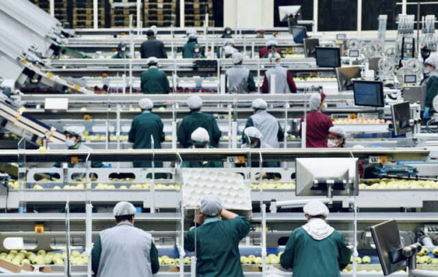 Food workers in factory