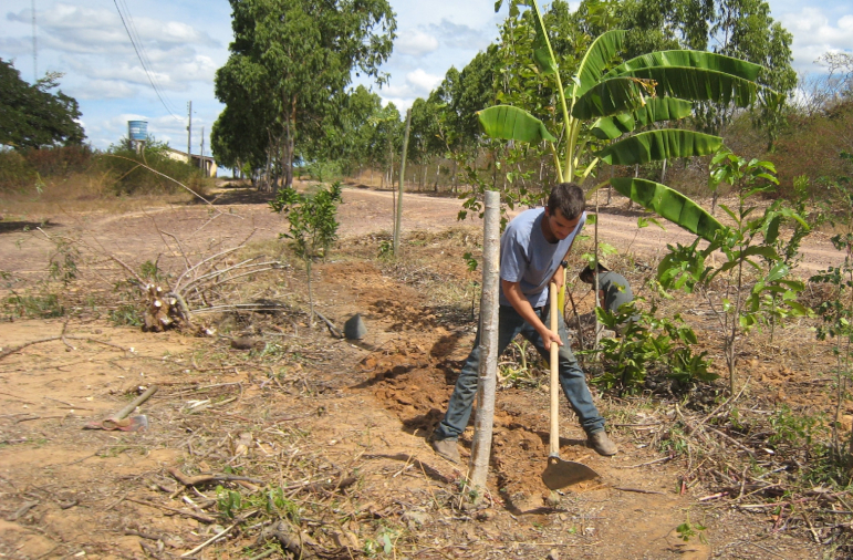 ecosystem restoration