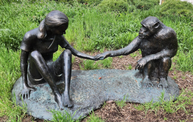 Sculpture of Jane Goodall and David Greybeard