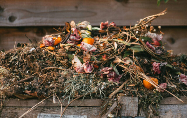 compost heap
