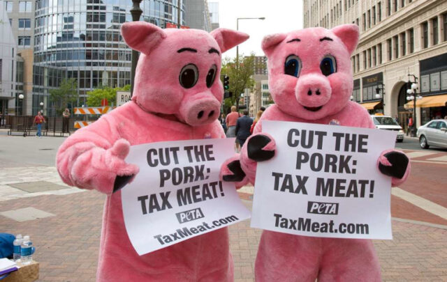 People dressed as pigs at Republican National Convention