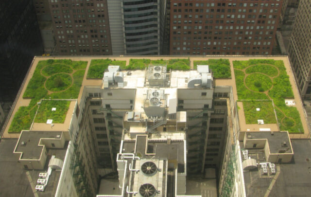 Chicago City Hall Green Roof
