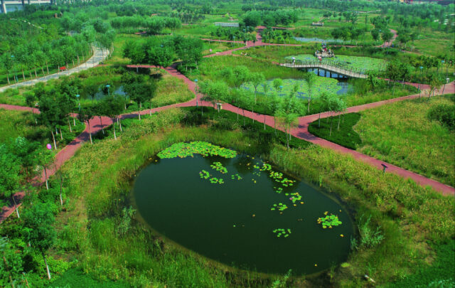 Tianjin Qiaoyuan Park in Tianjin City.