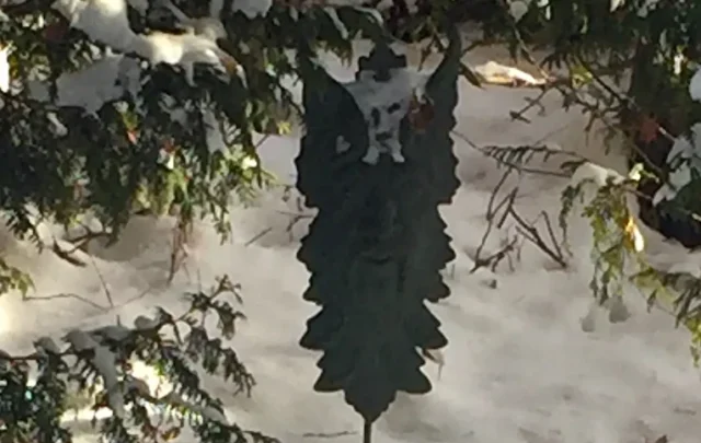 Green man in snow