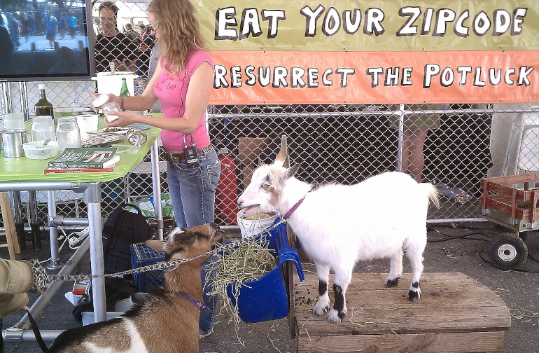 Goats and cheesemaking workshop