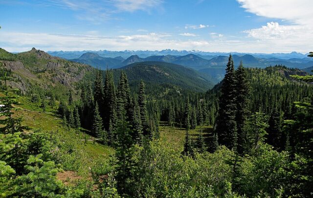 Noble Knob looking north in Washington.