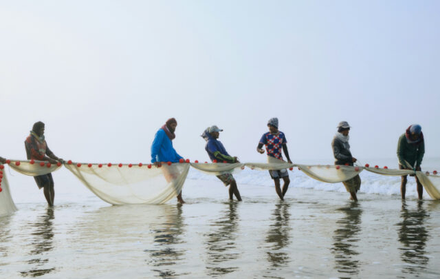 Communal fishing with a net in Sri Lanka