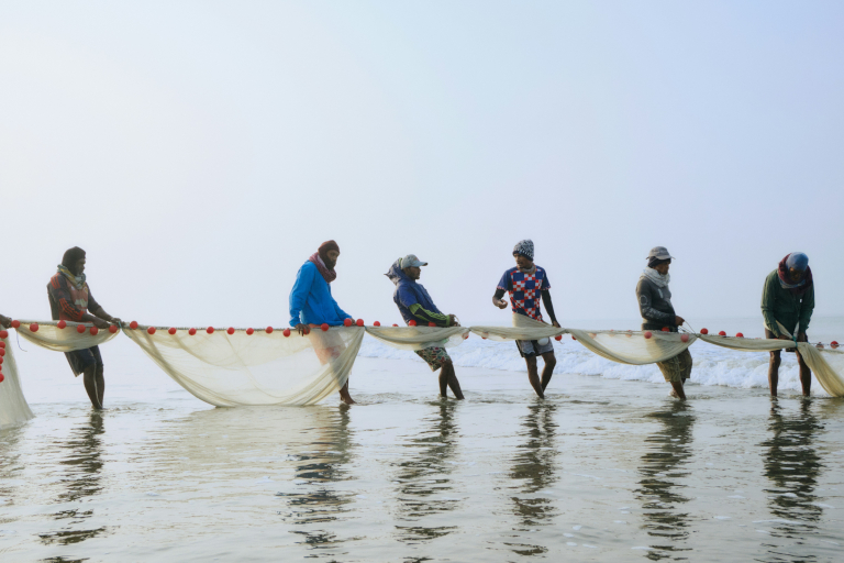 Communal fishing with a net in Sri Lanka