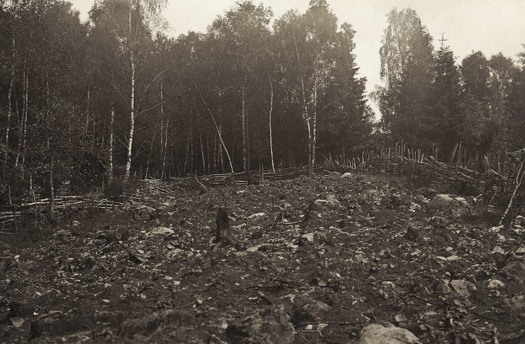 Swiddening in Sweden 1904