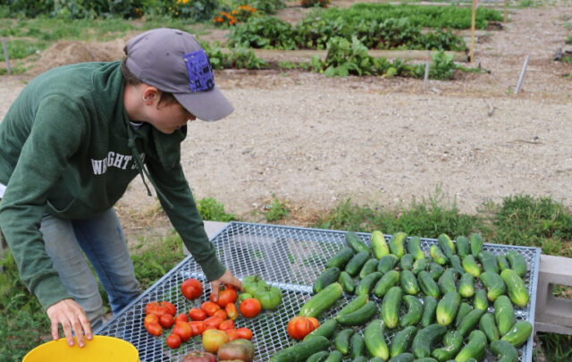 Rosebud Reservation community garden