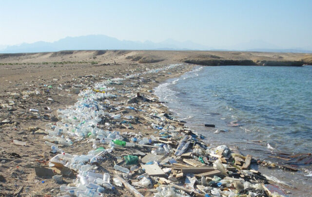 Polluted beach in Egypt
