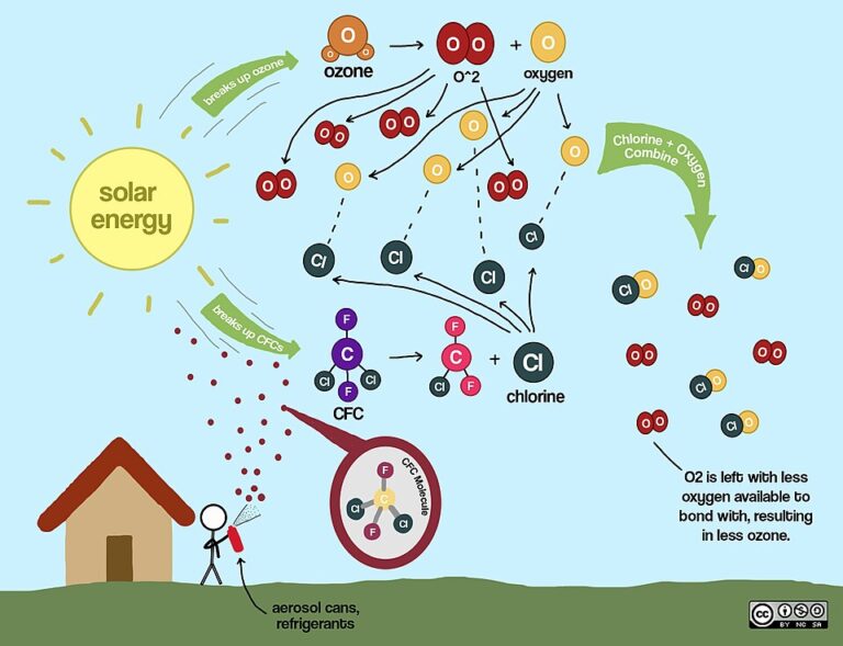 The chemical society and its discontents: Ozone layer edition - resilience