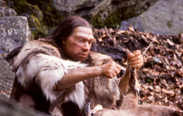 Neanderthal