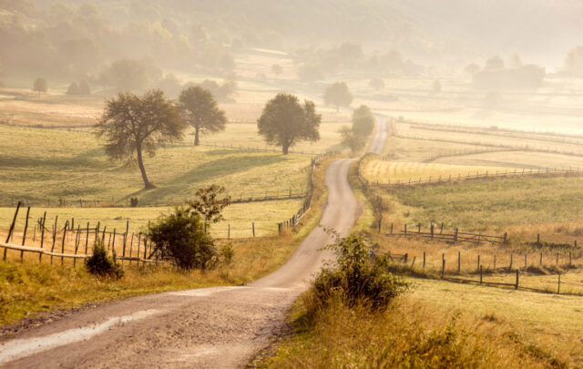 Jason Bradford episode