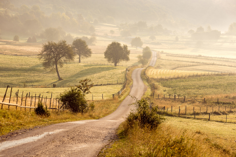 The Future is Rural: Reclaiming Food Sovereignty through Farming Clubs?