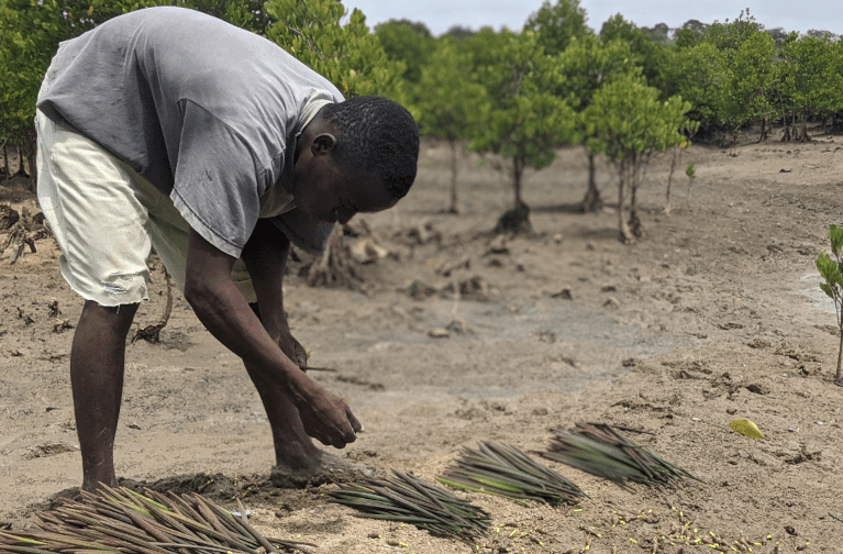 Healing the Earth, One Community at a Time: Highlighting  ERC’s Global Impact