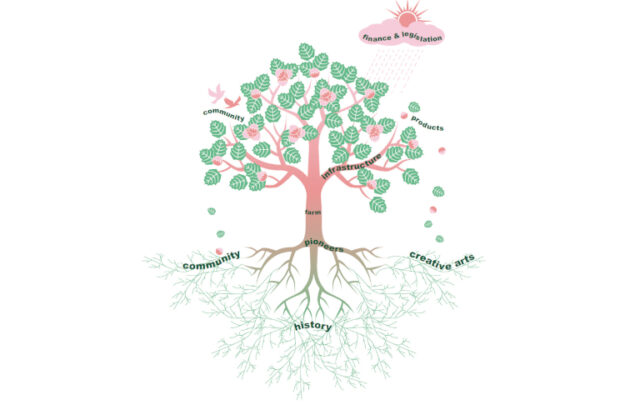 community fibre ecosystem graphic