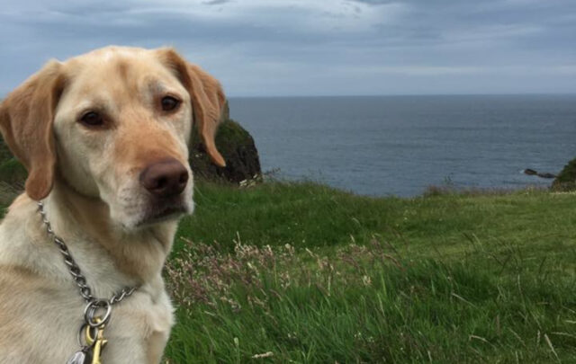 Fathom near the North Sea