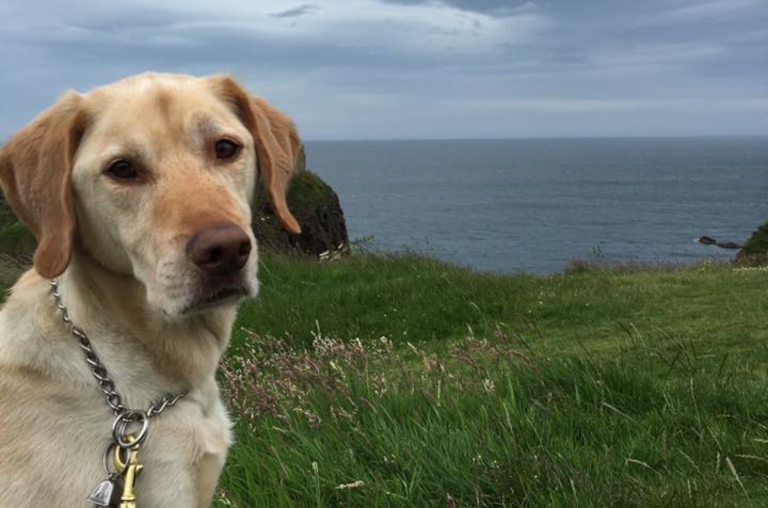 Fathom near the North Sea