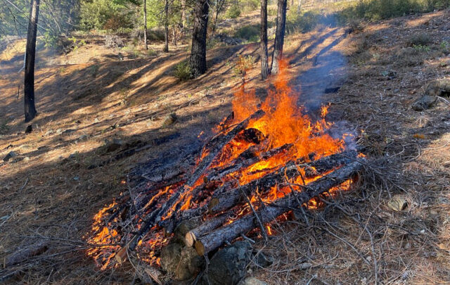 Prescribed pile burning