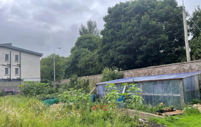 walled garden and greenhouse