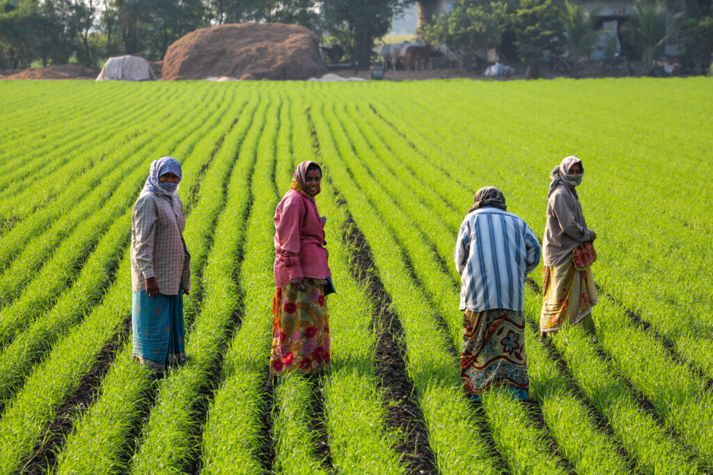 Women face the greatest climate risks but are critical to climate action