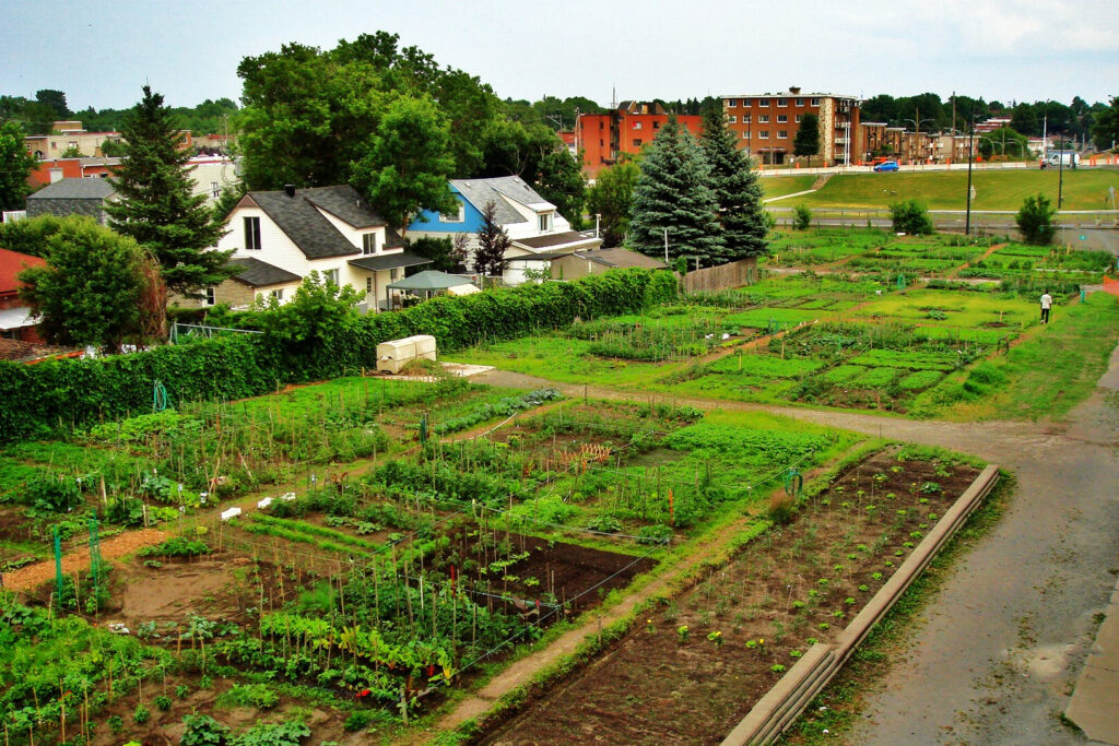Why building inspiring alternatives is necessary to counter authoritarianism